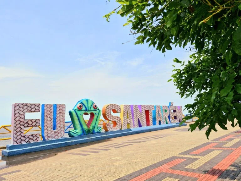 Novo Progresso X Santarém